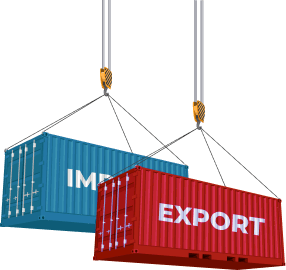 container import export